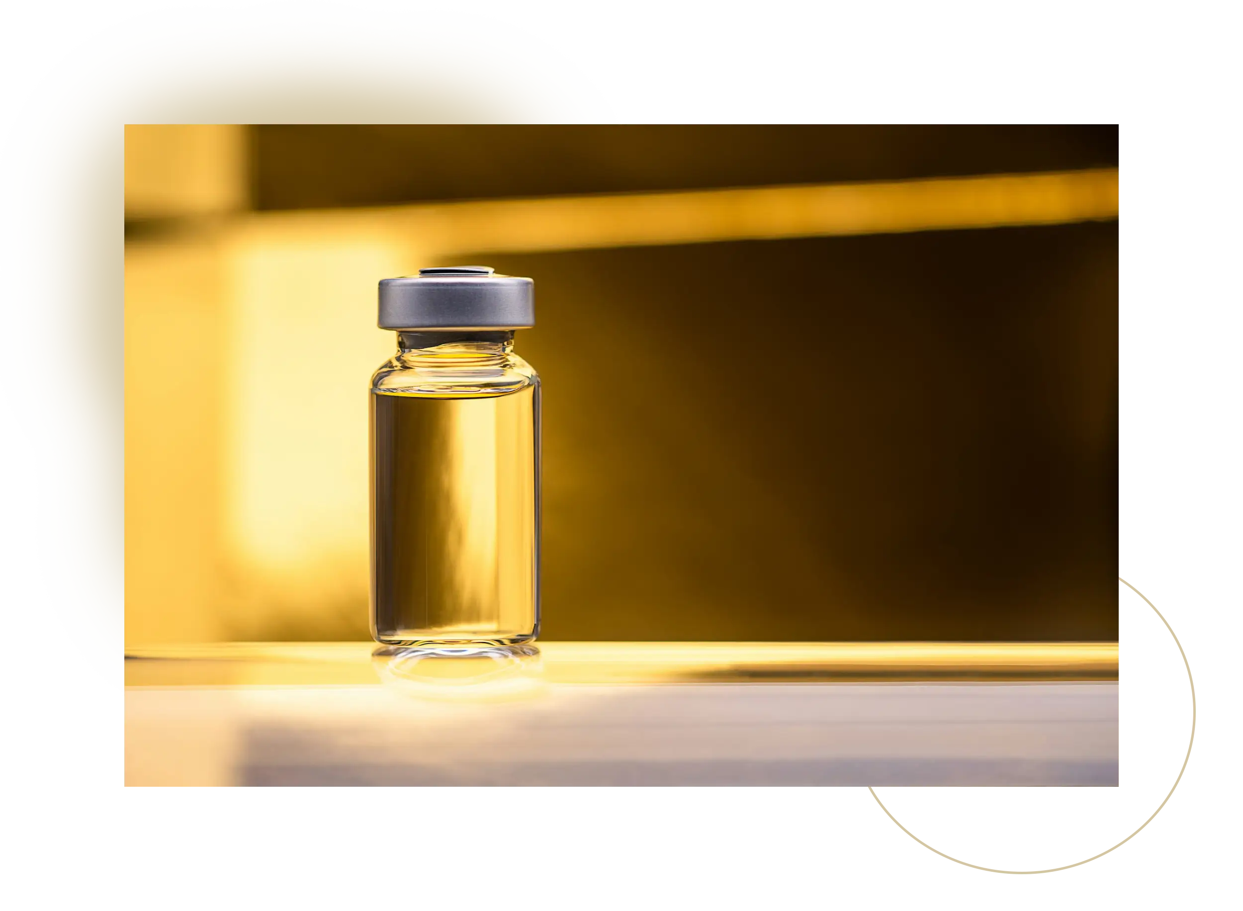 Advancements in Protection: Research on Vaccination in Immunocompromised Individuals